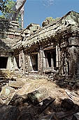 Ta Prohm temple - devatas sculpted on the gallery walls